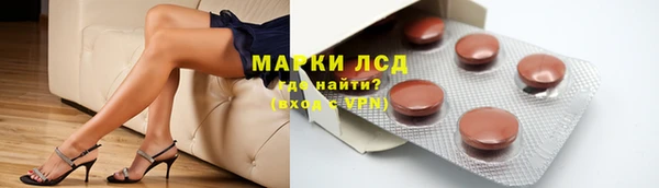 гидропоника Белокуриха